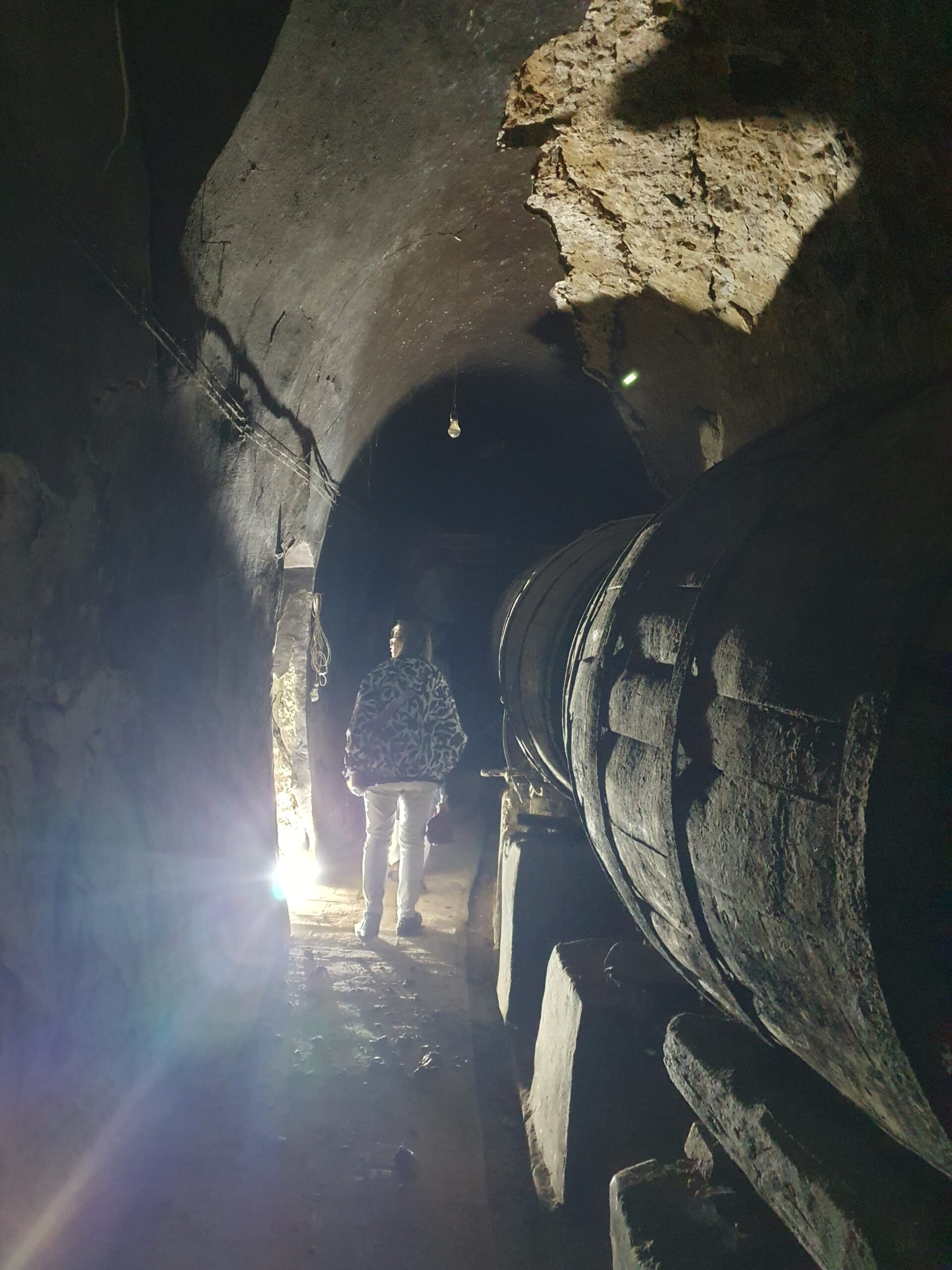 VISITA INTERIOR BODEGA CUEVA DUEÑAS ABCD TURISMO