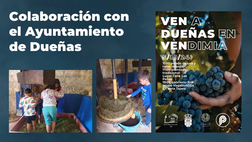 VENDIMIA FIESTA CHIGUITOS DUEÑAS UVA VINO MOSTO TRADICIÓN PISADO